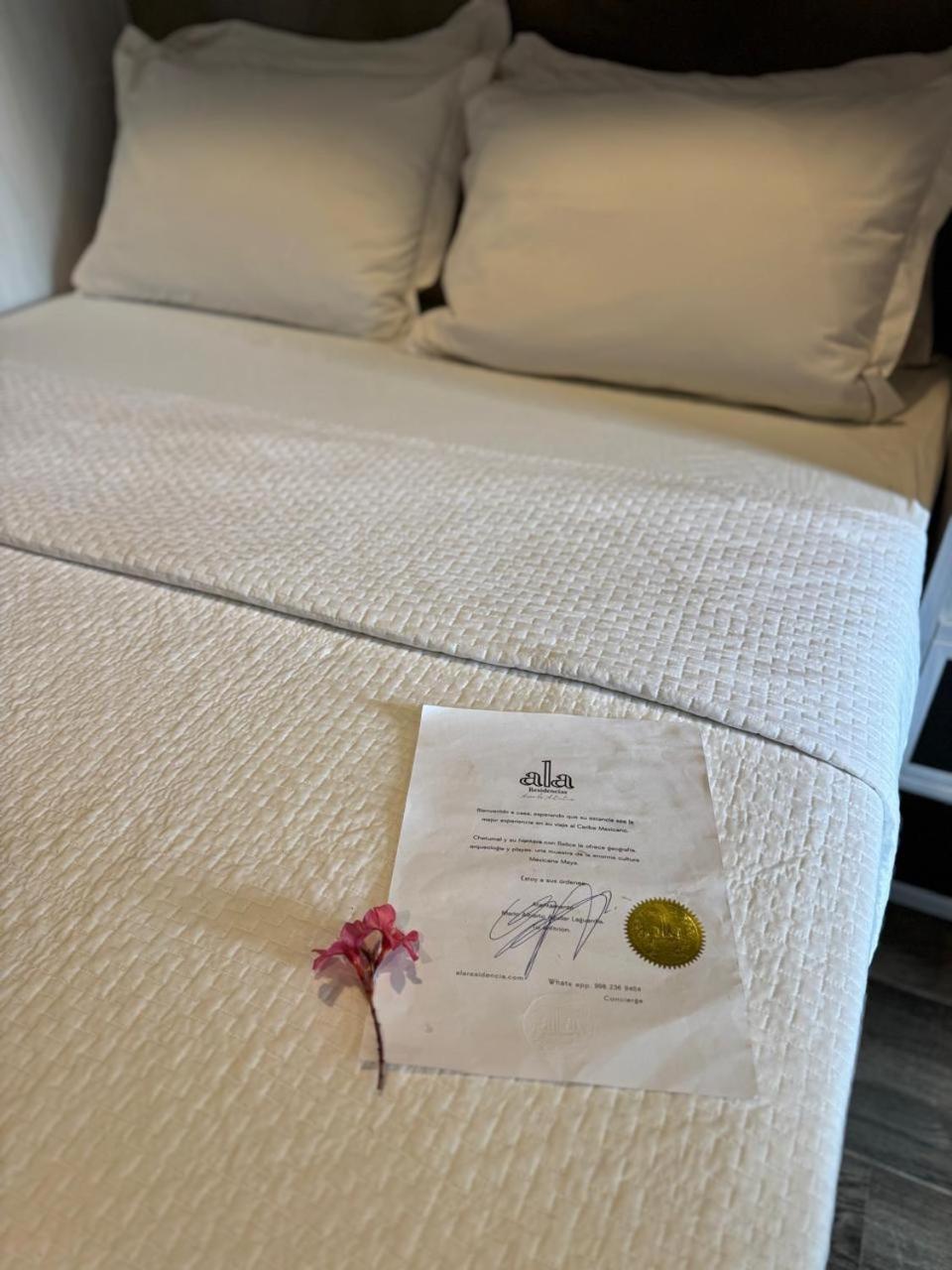 Hotel "Ala Residencias" Τσετουμάλ Εξωτερικό φωτογραφία